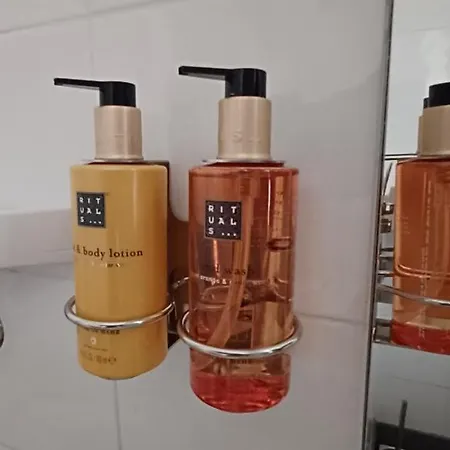 日落巢公寓 公寓 *